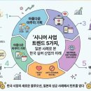 청년시니어케어 | 시니어 사업 트렌드 5가지, 일본 사례로 본 한국 실버 산업의 미래