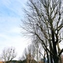 성모평온한마음의원 이미지