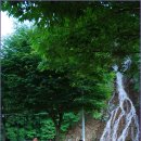 방화동가족휴가촌 이미지