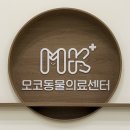 모코동물의료센터 이미지