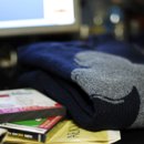 네잎크로버 소프트 이미지