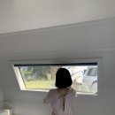 해안로2L | 대부도 선재도 카라반 캠핑장 젤 좋았던 선재해림