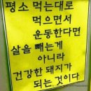 단비네 이미지