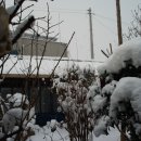 선화여관 네이버블로그