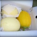 철수 농장 이미지