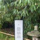 수정청둥오리 | [성남 한옥카페/전통찻집] 경기도 지정 문화재로 등재된 서울 근교 한옥카페, 고즈넉한 아름다움 '새...