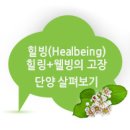 단양아로니아축제 후기 단양아로니아 국제 심포지엄