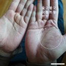 유정종합유통 | 비타민스토리 맥스멀티비타민 앤 미네랄 포우먼+포맨::명절선물추천/애플트리종합비타민