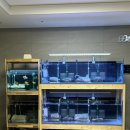 군산수족관 이미지