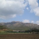 노스탈자 이미지