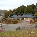 전씨농장 이미지