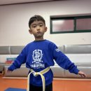 참태권도체육관 이미지