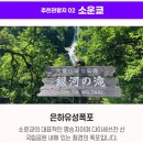 꽃길플라워 - 고양시 일산서구 킨텍스로 255 | 꽃길플라워