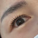 와촌농협 | 구미 상모동 디니위드 속눈썹 펌 솔직 후기