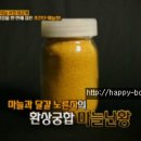 마늘청, 마늘난황, 수박흑마늘 만드는법 이미지