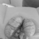 문정탑동물병원 이미지