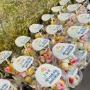 백아한방병원 이미지