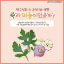 의약학(醫藥學) Medicineand Pharmacy : 한의학 (韓醫學) Korean Medicine