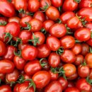 호윤농장 이미지