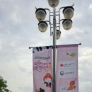 6월 14일 방송 열린음악회 후기