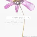 아르힐(ARHILL)
