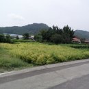 어모문화3길 이미지