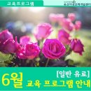 건강 지킴이 수지침 이미지