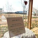 꽃이있는집 - 서구 하남대로 704 | 청주 토성마을 목화꽃이 있는 감성카페 오두막에서 즐기는 주말 힐링 데이트 후기