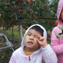 쌍둥이 농장 이미지