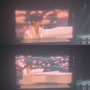 세림노래방 | 크래비티 &lt;Dare to Crave&gt; 콘서트 후기