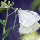 5월 남도축제 가볼만한 곳 &#34;9선&#34; 축제물결 이미지