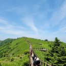 6월 산행 추천 소백산국립공원 어의곡_비로봉_국망봉_늦은맥이재, 숨하우스 펜션 주차 안내