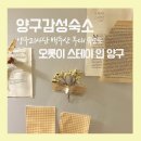 스테이-오롯