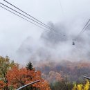 비선대만남의광장 이미지