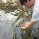 여주-0928 이미지