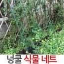 제이앤씨 이미지