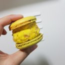 러브하니