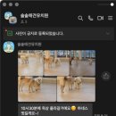 서울역촌유치원 이미지