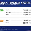 태영스크린 이미지