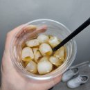 르젠 이지클린 제빙기 : 분리세척으로 깨끗하게 사용가능한 가정용, 업소용 제빙기