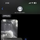 부산펫렛펫택시 이미지