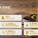 이오피쉬 이미지