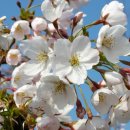 계림해물탕 이미지