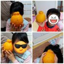 구문농장 이미지