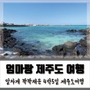 엄마랑 제주도 여행 4박 5일