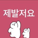 플라워돌콤 | 세븐틴 NEW_ 콘서트 후기
