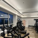 피티온도 이미지