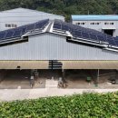 다인2태양광발전소 이미지