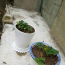 정희네 가게 이미지