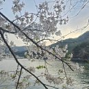 누리분식 | 포천 산정호수 생각보다 좋았던 이유 | 야경·주차 솔직후기